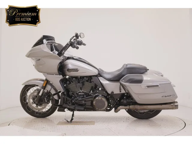 Harley-Davidson FLTRXSE1980CVO 2023, серебристый, фото 2