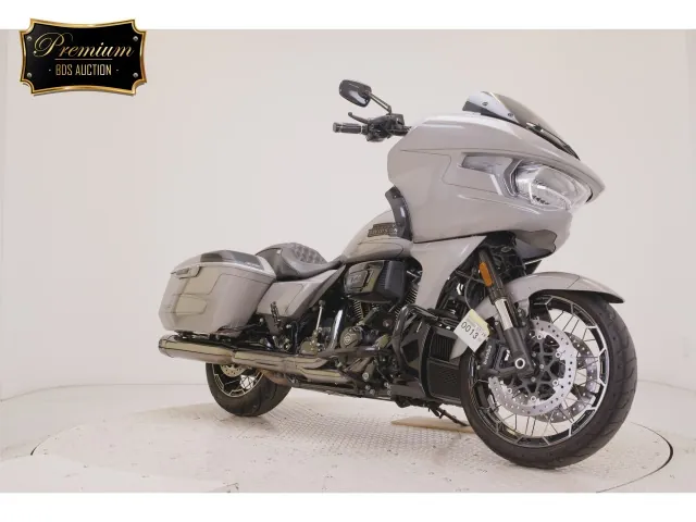 Harley-Davidson FLTRXSE1980CVO 2023, серебристый, фото 3