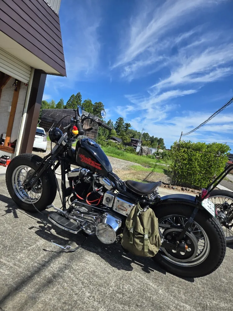 Harley-Davidson Dyna 1993, фото 4