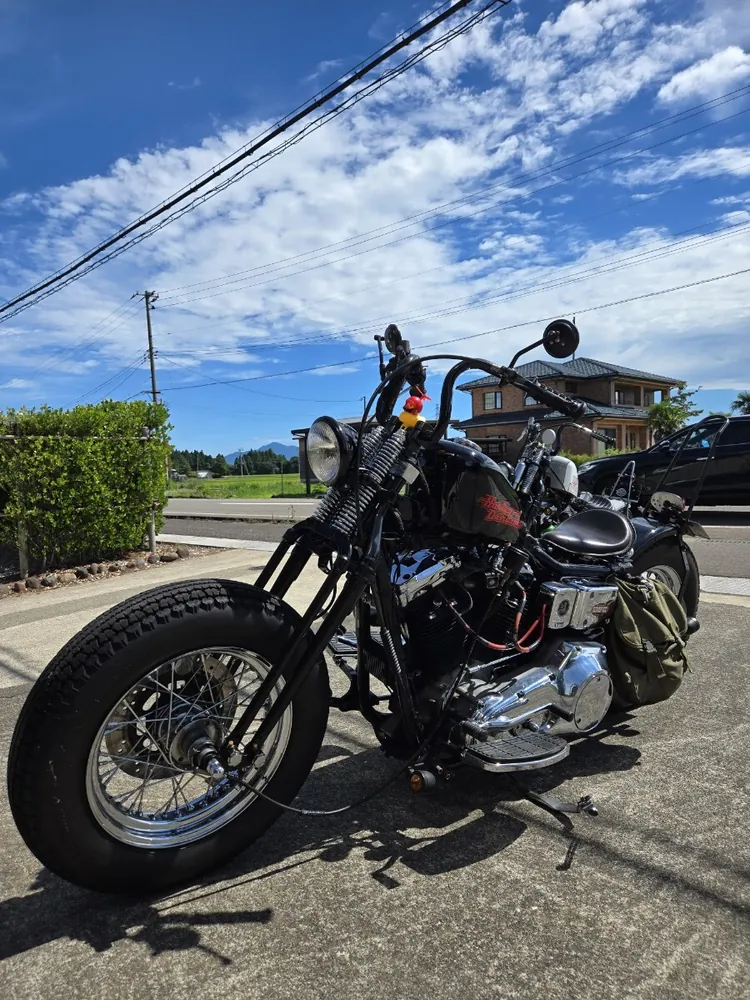 Harley-Davidson Dyna 1993, фото 5