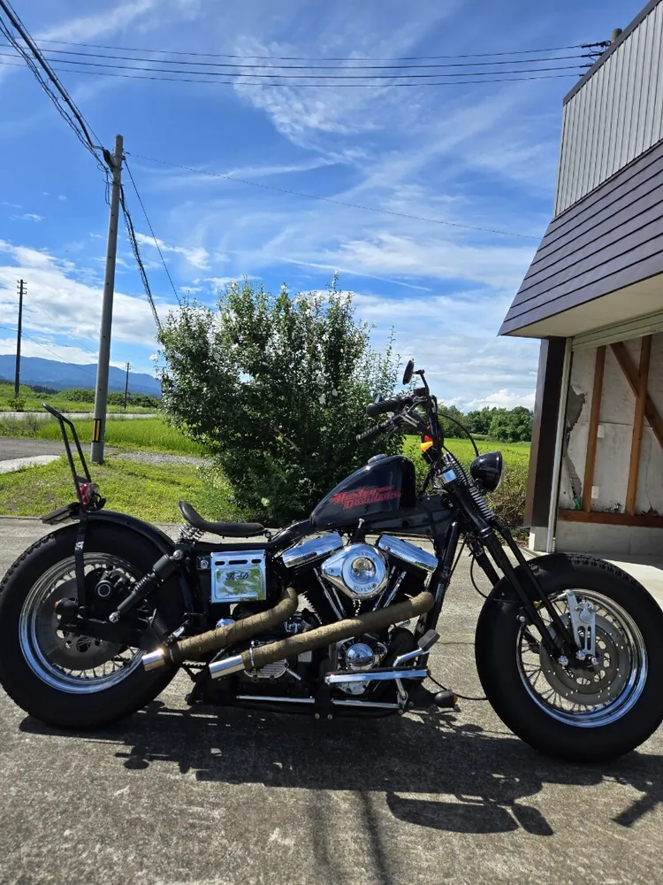 Harley-Davidson Dyna 1993, фото 6