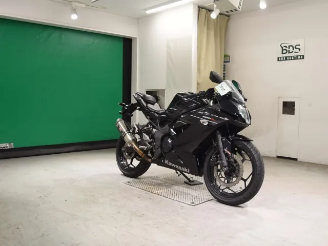 Kawasaki Ninja 250SL, чёрный, фото 3