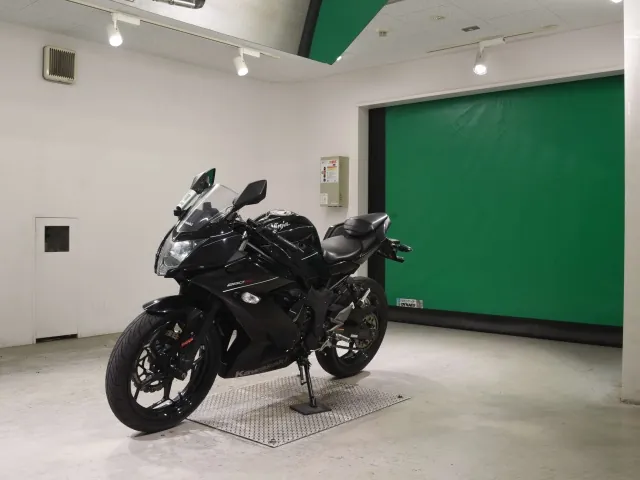 Kawasaki Ninja 250SL, чёрный, фото 4