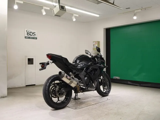 Kawasaki Ninja 250SL, чёрный, фото 5