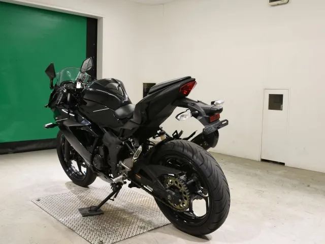 Kawasaki Ninja 250SL, чёрный, фото 6