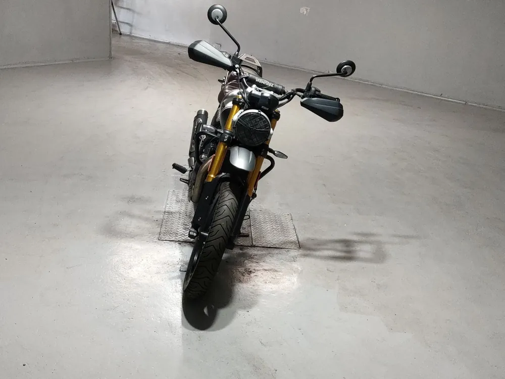 Triumph Scrambler 400 X 2024, зелёный, фото 3