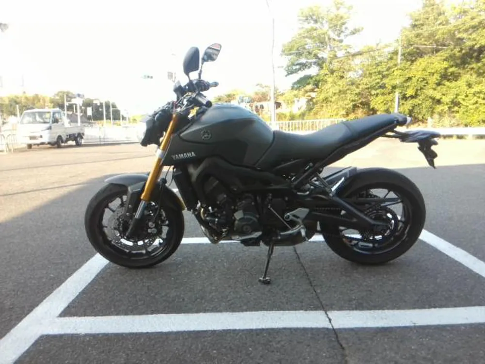Yamaha MT-09 2015, mat gray, фото 2