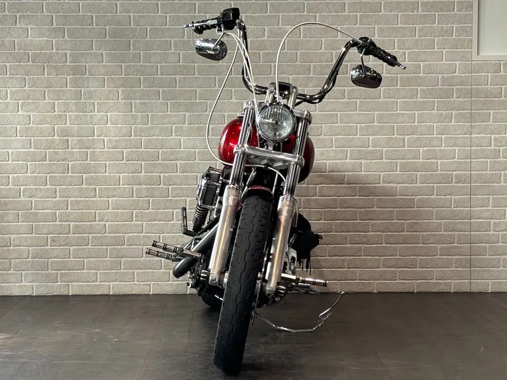 Harley-Davidson FXDL 2008, фото 2