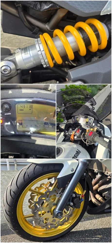 Kawasaki ER-6f 2009, фото 10