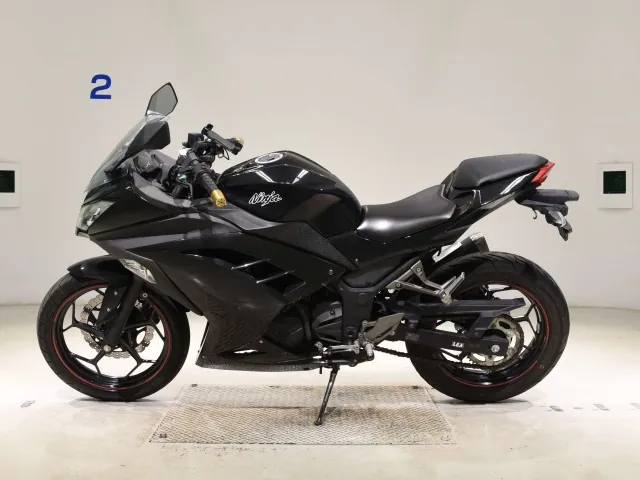 Kawasaki Ninja 250, чёрный, фото 2