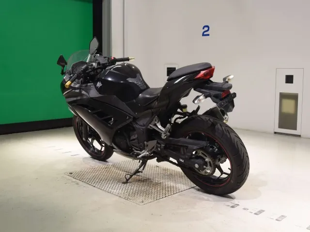 Kawasaki Ninja 250, чёрный, фото 6
