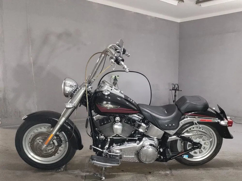 Harley-Davidson FLSTF1580 2007, чёрный, фото 2