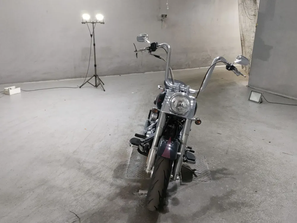 Harley-Davidson FLSTF1580 2007, чёрный, фото 3
