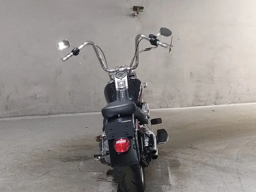 Harley-Davidson FLSTF1580 2007, чёрный, фото 4