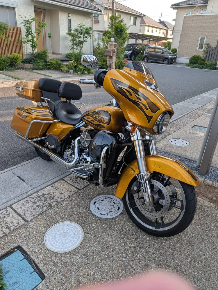 Harley-Davidson FLHX 2016, фото 2