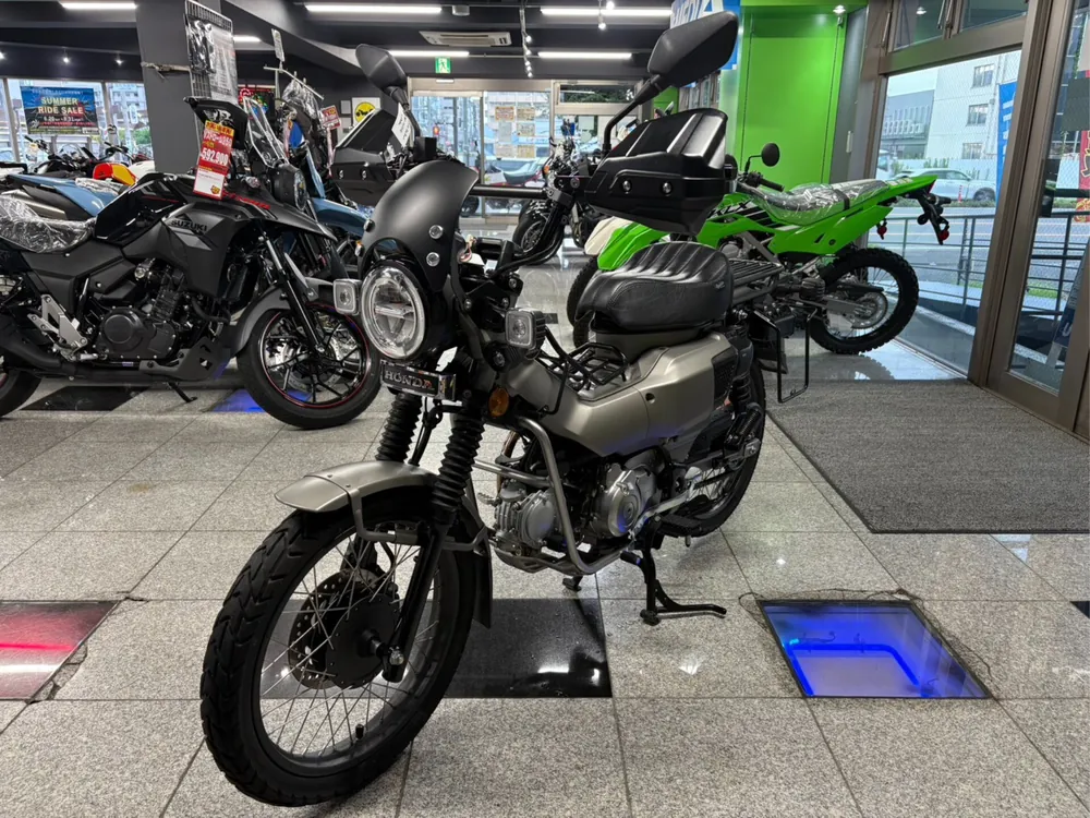Yamaha Dragstar 250, maddo gray, фото 6
