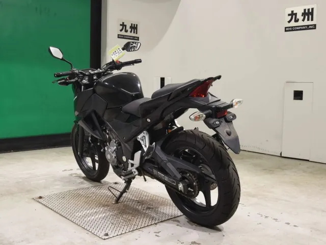 Honda CB250F, чёрный, фото 6
