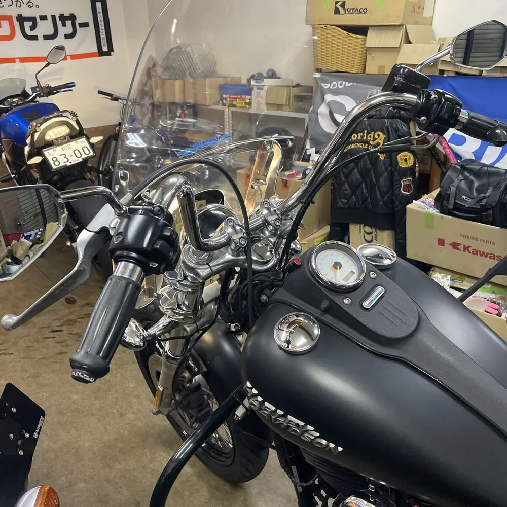 Harley-Davidson FXDB1580 2011, фото 2