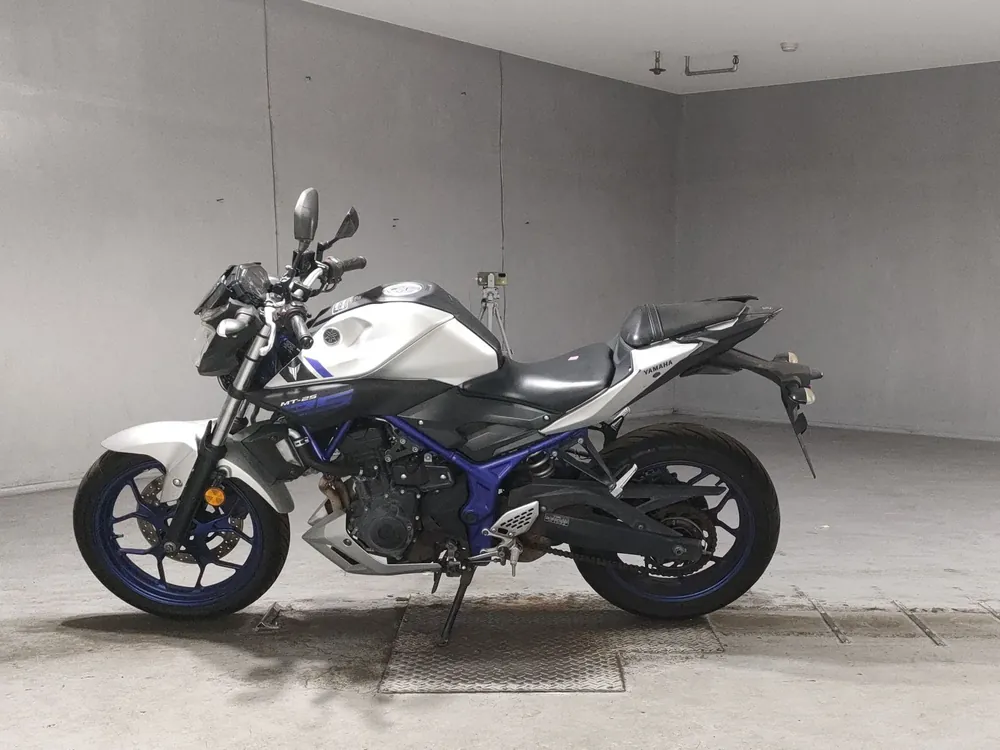 Yamaha YZF-R25, серебристый, фото 2