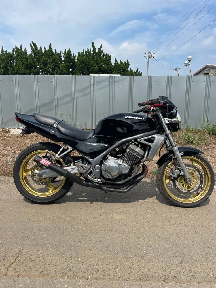 Kawasaki Varios 1991, фото 3
