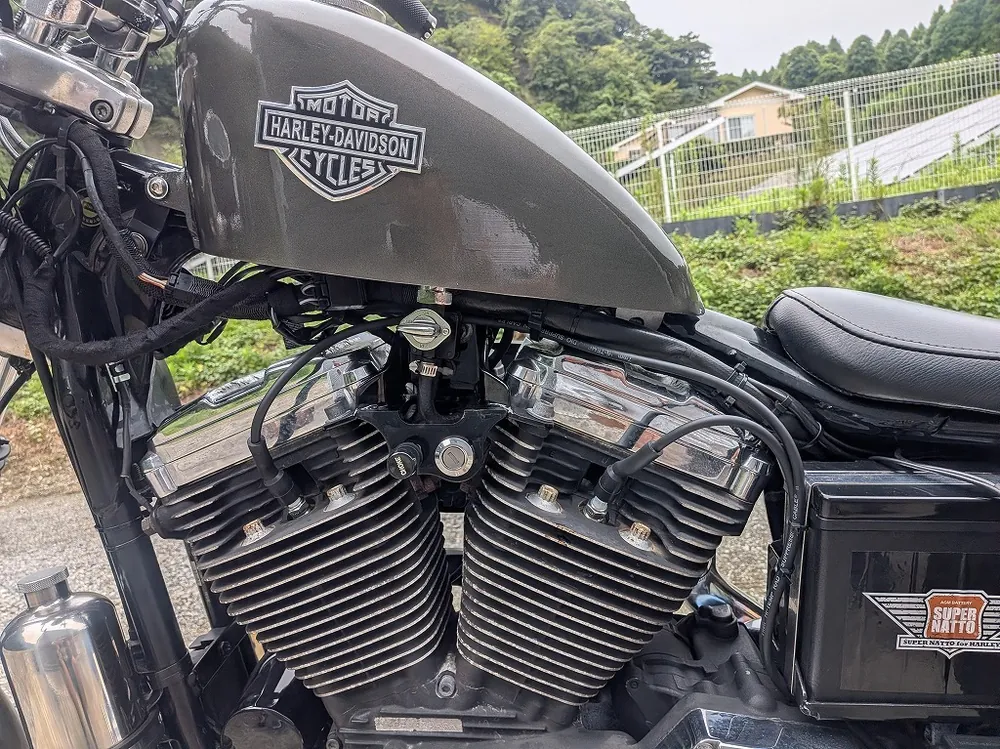 Harley-Davidson XL1200C 2002, фото 4