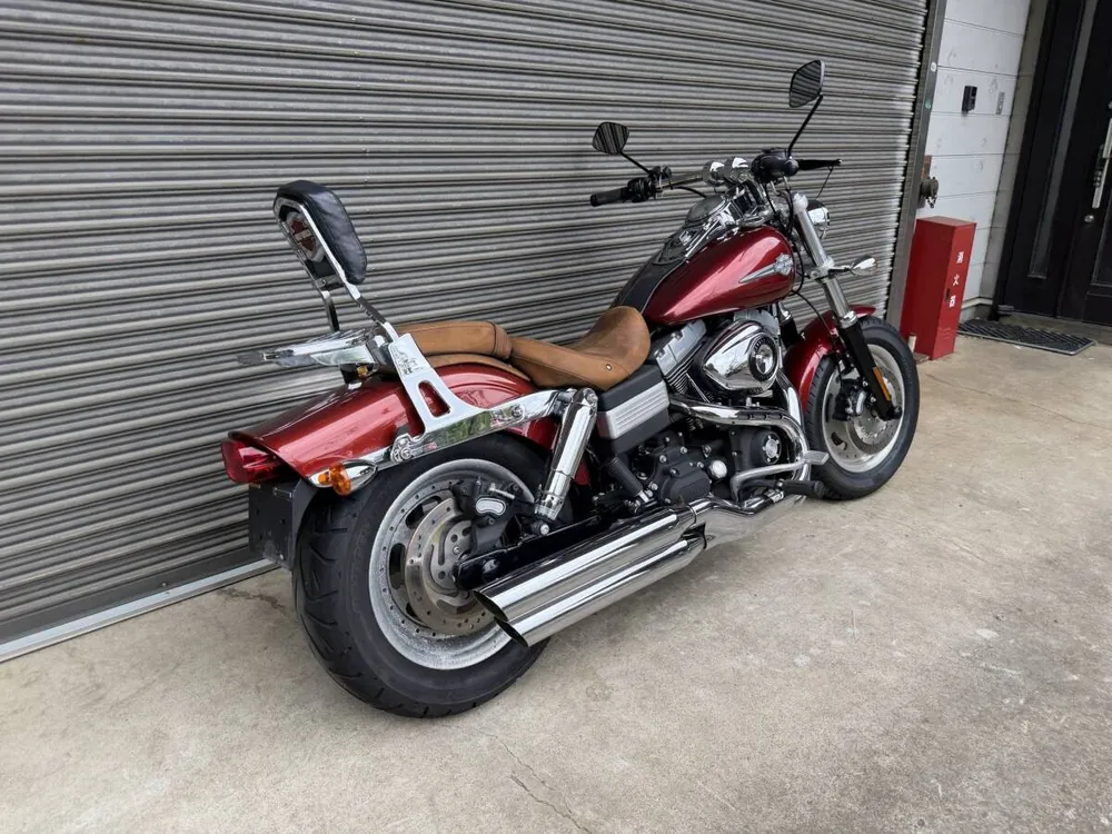 Harley-Davidson FXDF 2009, фото 4