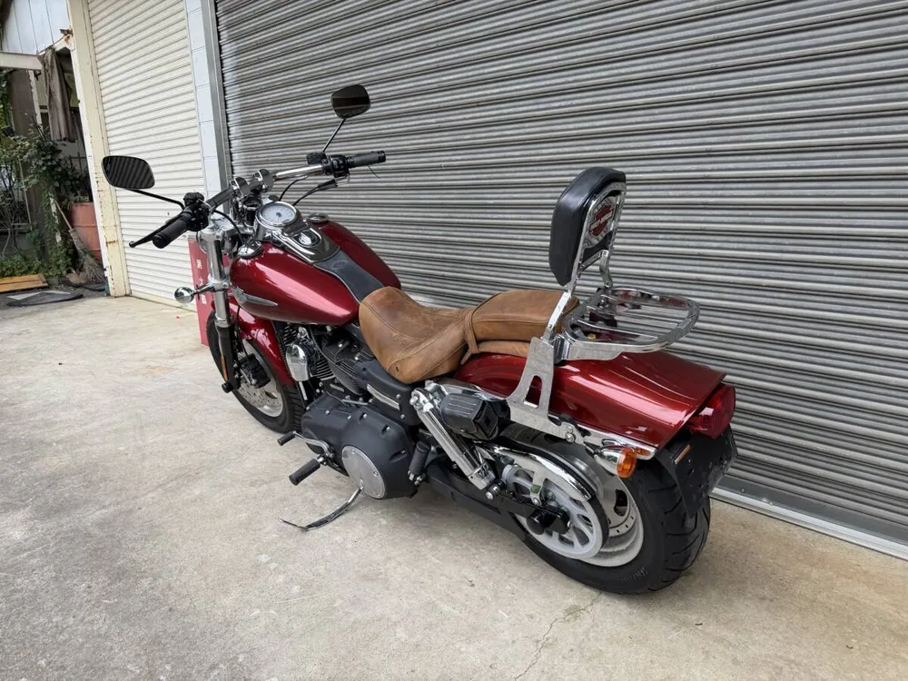 Harley-Davidson FXDF 2009, фото 7
