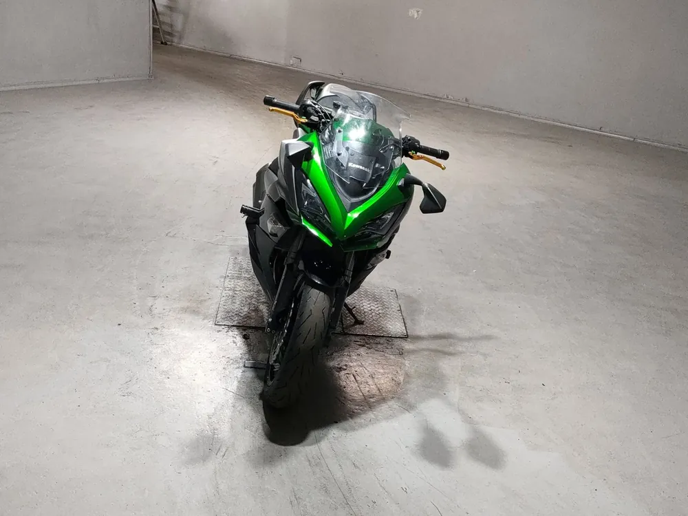 Kawasaki Ninja1000A 2019, серый, зелёный, фото 3