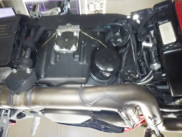 Ducati Monster 1200S 2015, красный, фото 7