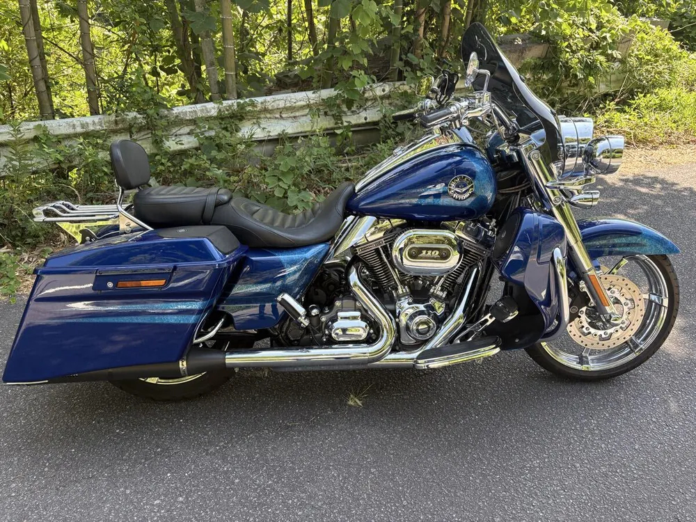 Harley-Davidson FLHRSE5 2013, фото 3
