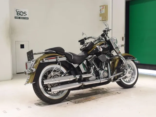 Harley-Davidson FLSTN1580 2007, black | green, фото 5