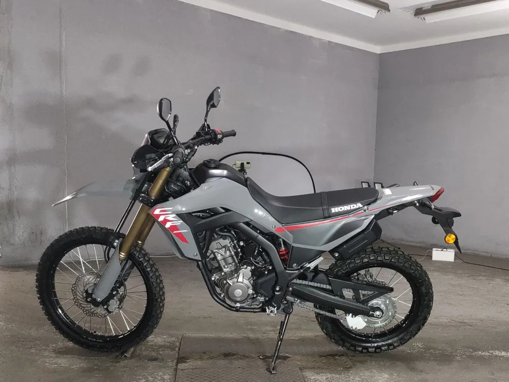 Honda CRF250 Rally, серый, фото 2