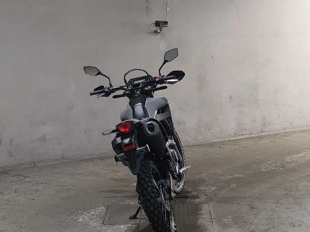 Honda CRF250 Rally, серый, фото 4