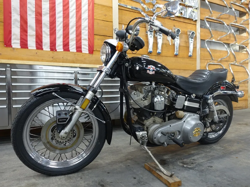 Harley-Davidson FXE 1976, фото 5