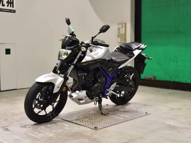 Yamaha YZF-R25, matt silver, фото 4