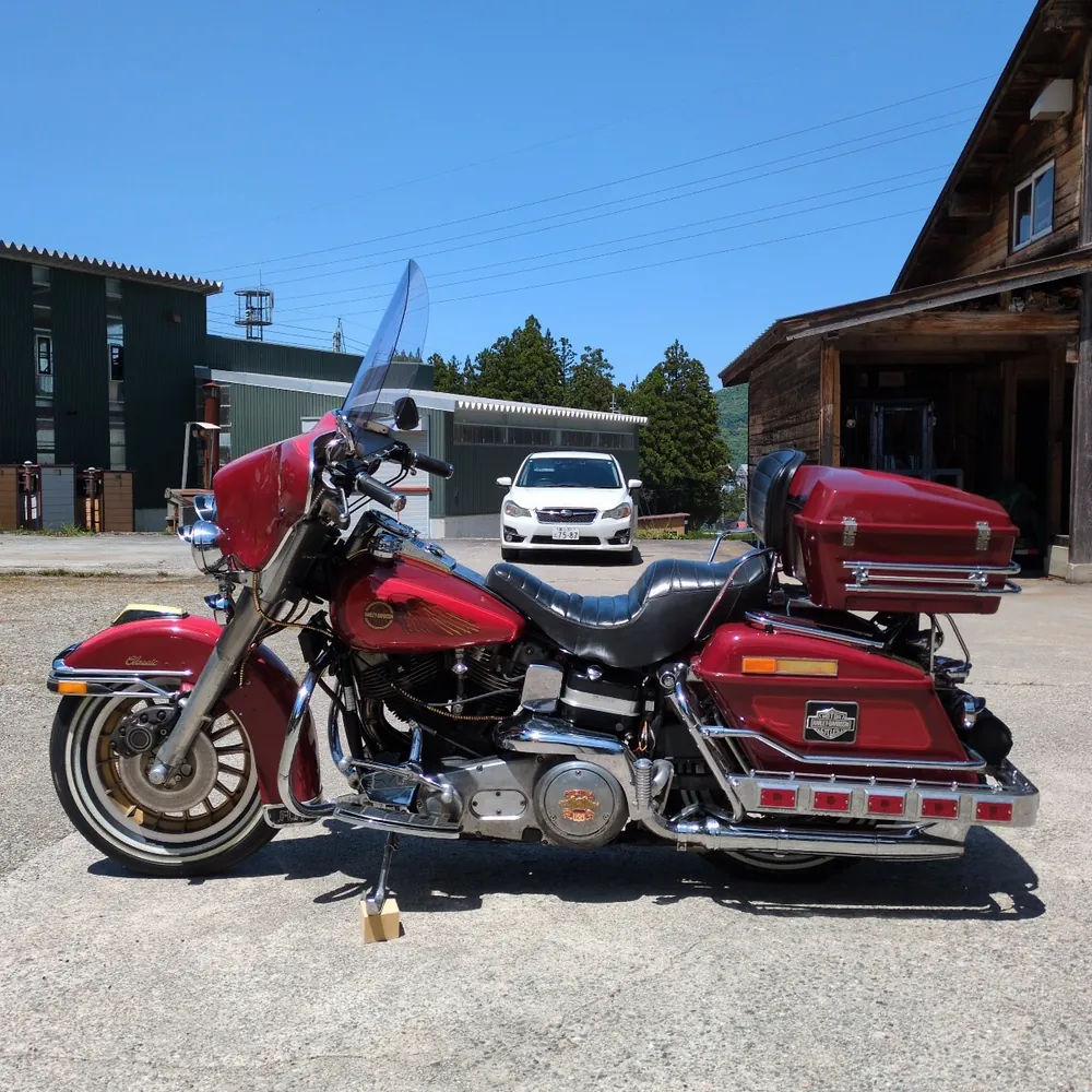 Harley-Davidson FLH 1981, фото 3