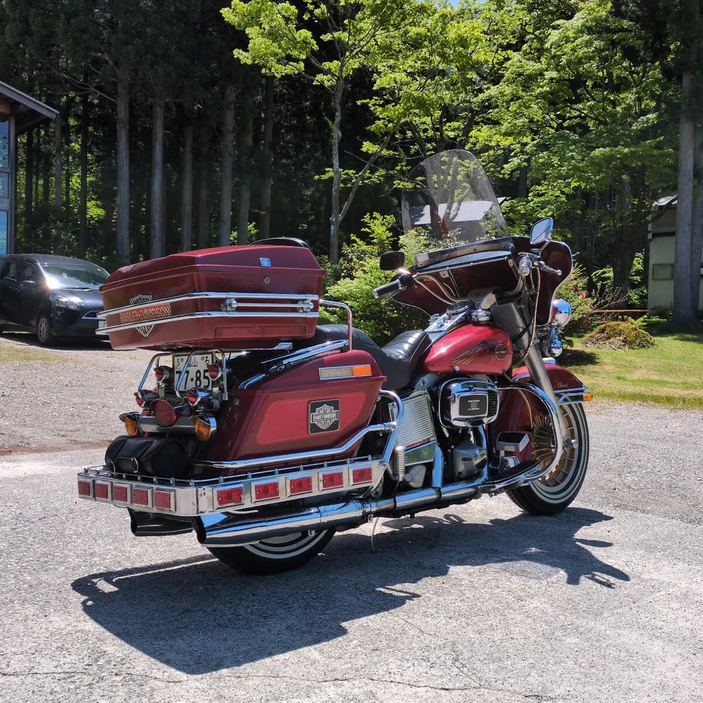 Harley-Davidson FLH 1981, фото 6
