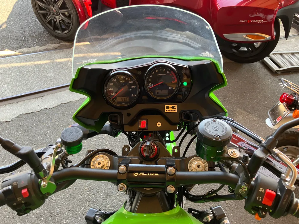 Kawasaki ZRX1200DAEG 2009, зелёный, фото 2