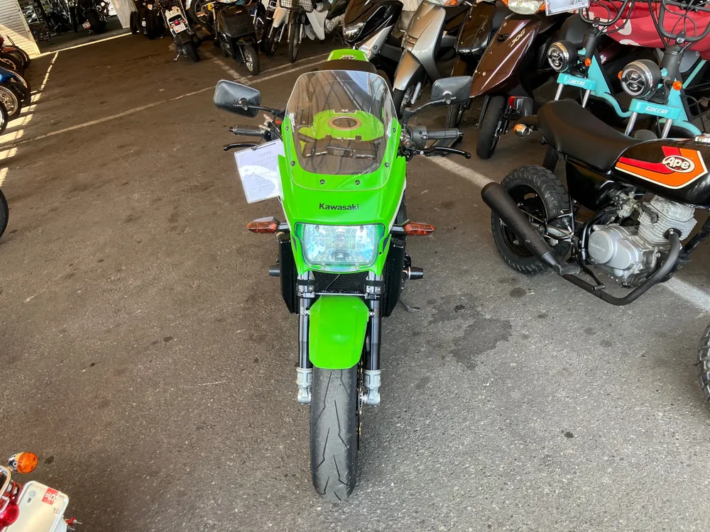 Kawasaki ZRX1200DAEG 2009, зелёный, фото 4