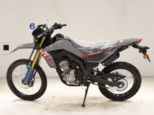 Honda CRF250 Rally, серый, фото 2