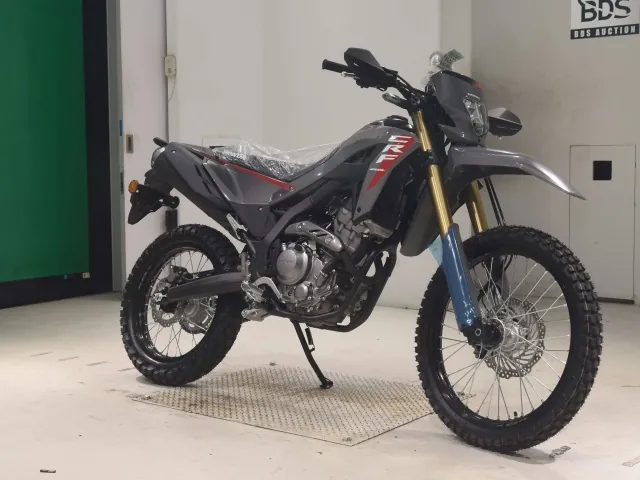 Honda CRF250 Rally, серый, фото 3