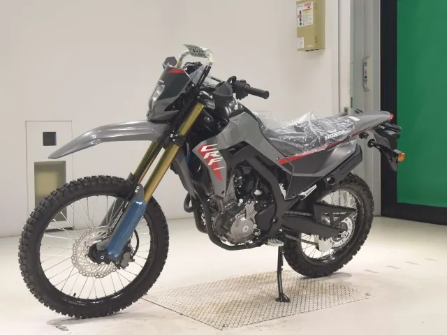 Honda CRF250 Rally, серый, фото 4