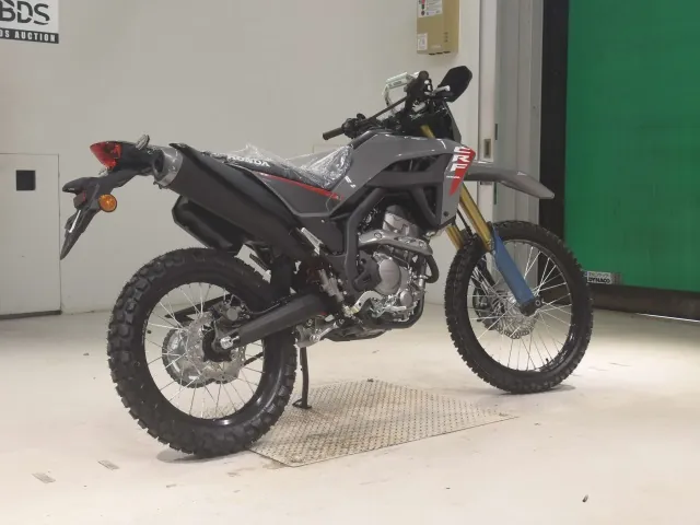 Honda CRF250 Rally, серый, фото 5