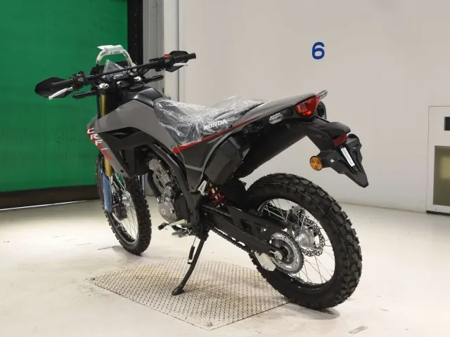 Honda CRF250 Rally, серый, фото 6