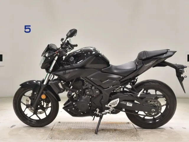 Yamaha YZF-R25, чёрный, фото 2