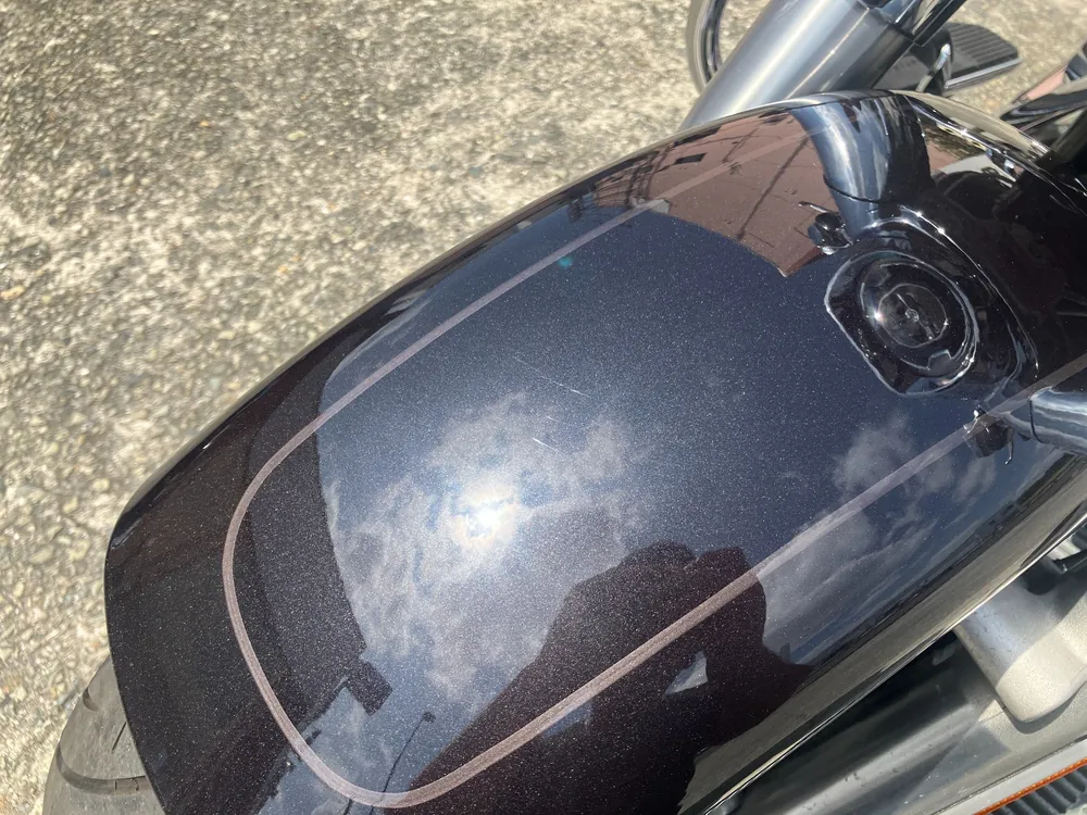 Harley-Davidson FLFBS 2021, gun m, фото 11