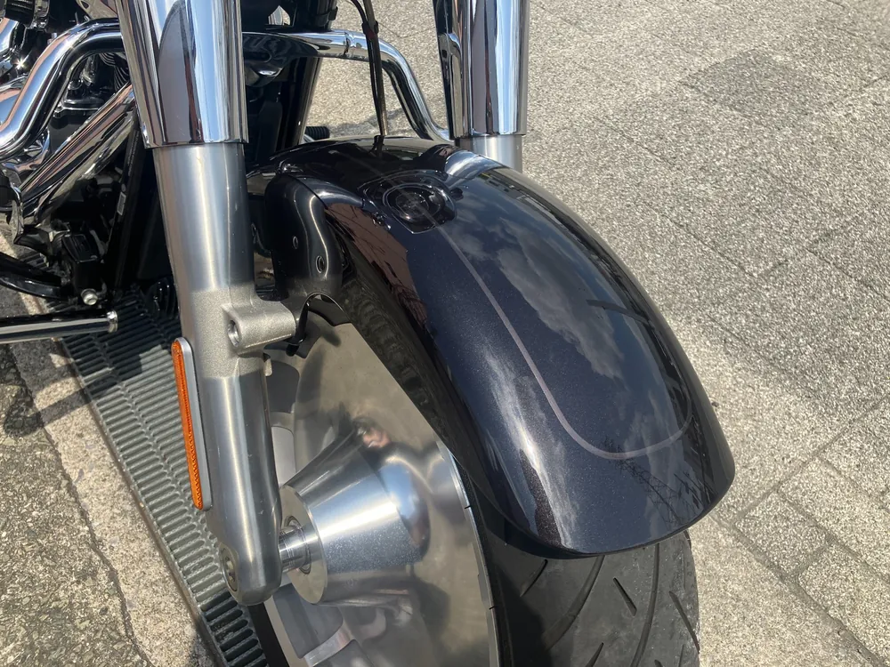 Harley-Davidson FLFBS 2021, gun m, фото 12