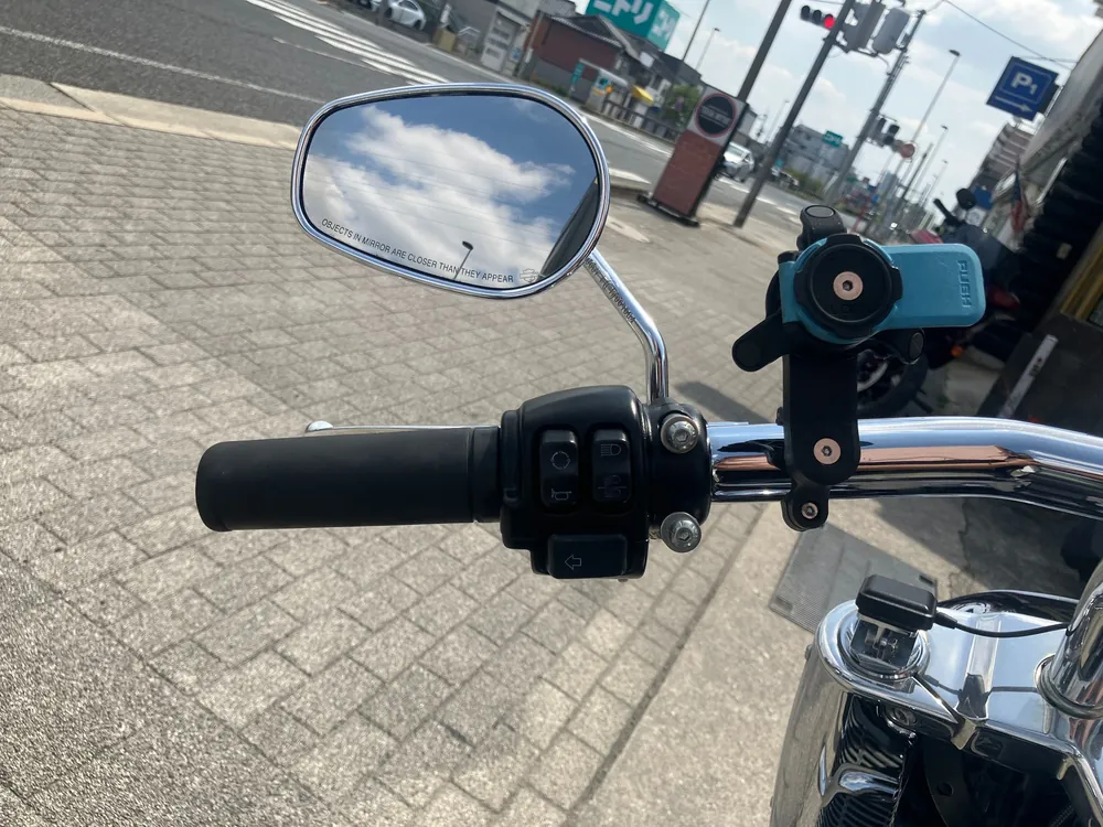 Harley-Davidson FLFBS 2021, gun m, фото 13