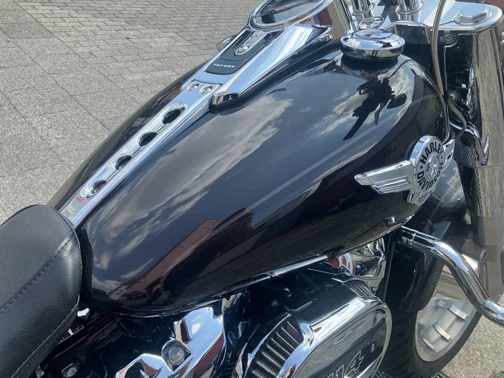 Harley-Davidson FLFBS 2021, gun m, фото 14