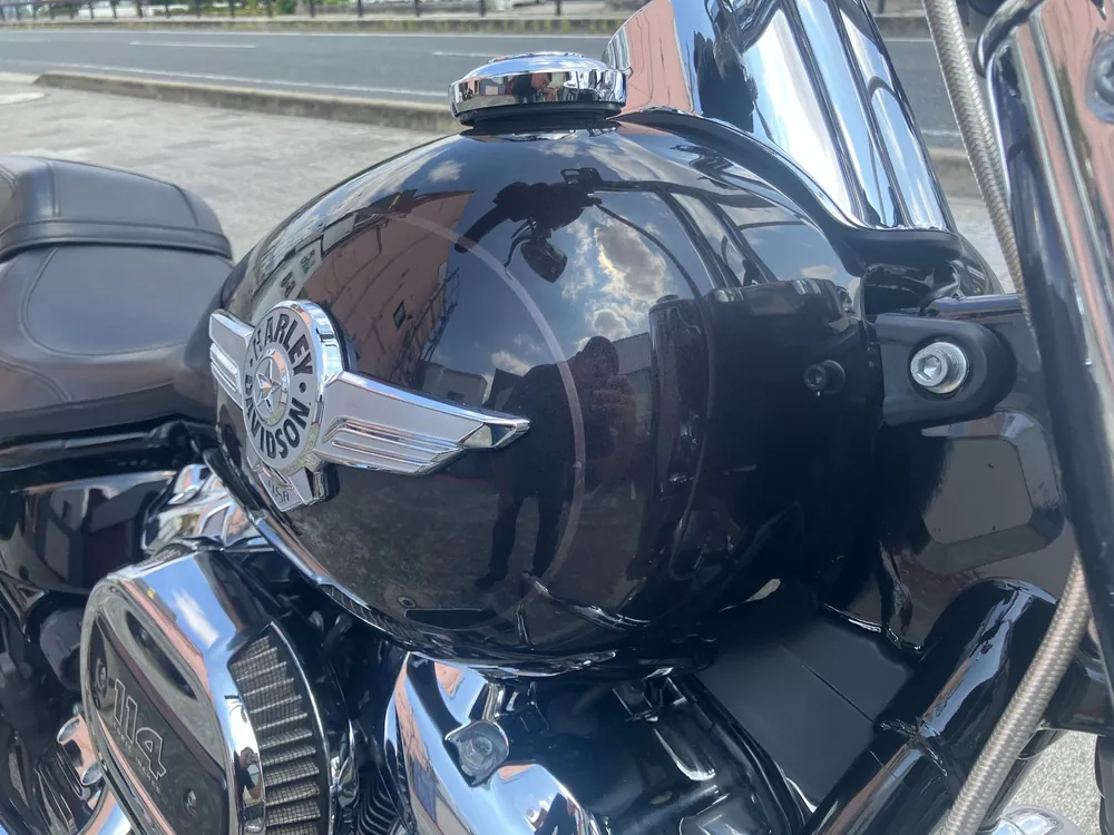 Harley-Davidson FLFBS 2021, gun m, фото 15